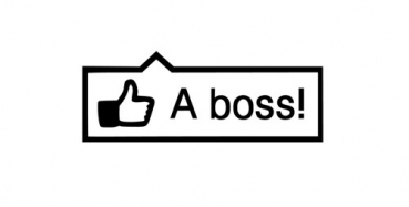 Like a Boss